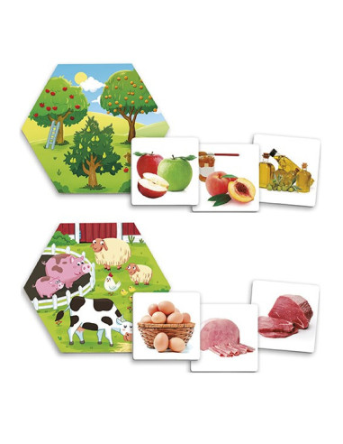 AKR20551,Joc pentru dezvoltarea cunostintelor despre natura: De unde provin alimentele?