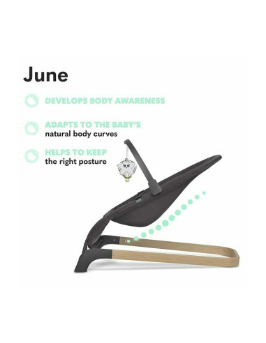 BN-LO-JUNE_GREY_STONE,Lionelo - Fotoliu balansoar June, Cu arcada cu jucarii, Ergonomic, Balansare manuala, Pliabil, 0 luni+, Gr