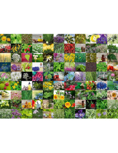 RVSPA15991,Puzzle 99 De Plante Si Condimente, 1000 Piese