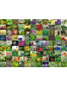 RVSPA15991,Puzzle 99 De Plante Si Condimente, 1000 Piese