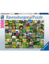 RVSPA15991,Puzzle 99 De Plante Si Condimente, 1000 Piese
