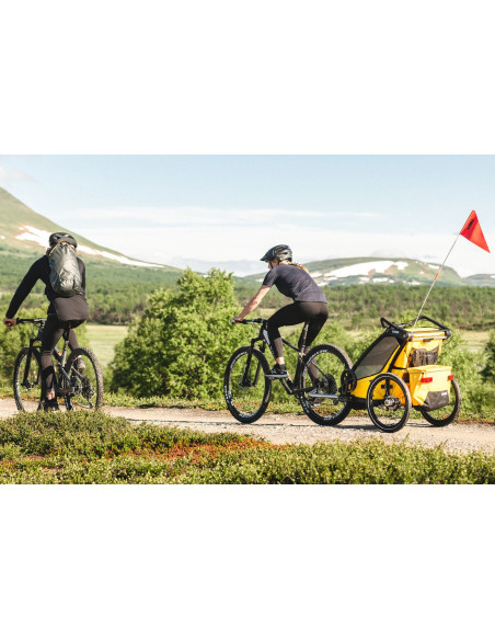 TA10201024,Carucior multisport Thule Chariot Sport 2 Spectra Yellow