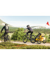TA10201024,Carucior multisport Thule Chariot Sport 2 Spectra Yellow