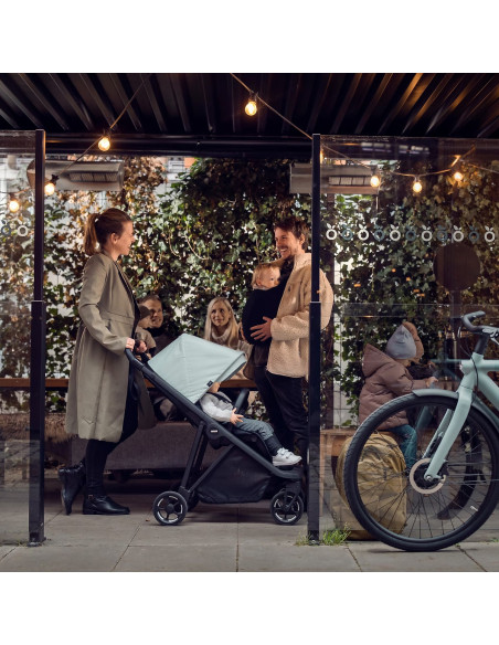 TA11400201,Carucior, Thule, Shine, Mallard Green