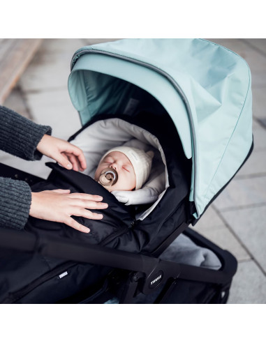 TA11400201,Carucior, Thule, Shine, Mallard Green