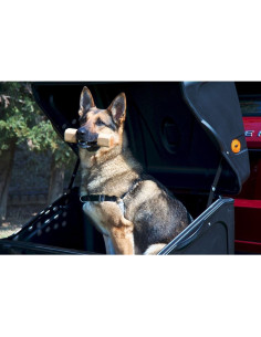 TBD000N,Cutie portbagaj pe carligul de remorcare Towbox V1 DOG Negru 2