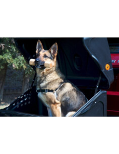 TBD0AAB,Cutie portbagaj pe carligul de remorcare Towbox V1 DOG Gri 2