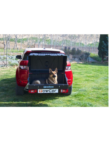 TBD0AAB,Cutie portbagaj pe carligul de remorcare Towbox V1 DOG Gri