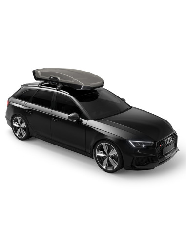 TA613200,Cutie portbagaj Thule Vector M Titan Mat