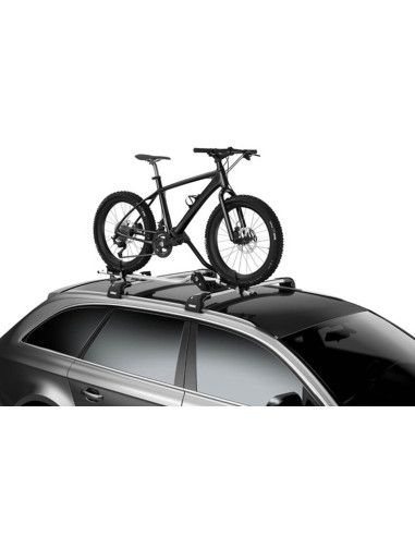 TA5981,Adaptor Thule ProRide 5981 - pentru bicicleta FatBike (set de 2 buc)