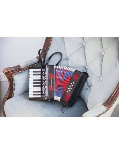 Acordeon mare - Negru,NC0057