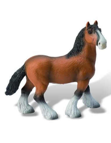 Armasar Shire,BL4007176626665