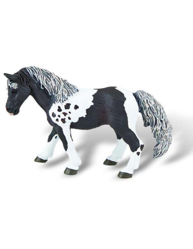 Cal Lewitzer,BL4007176626764