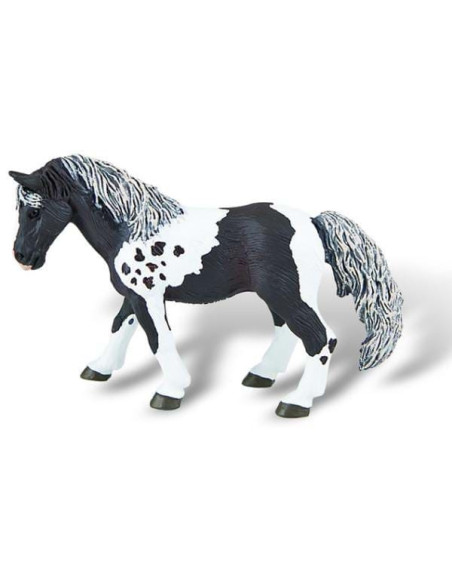 Cal Lewitzer,BL4007176626764