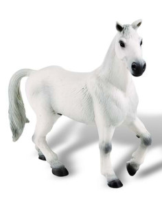 Cal Oldenburger alb,BL4007176626740 2