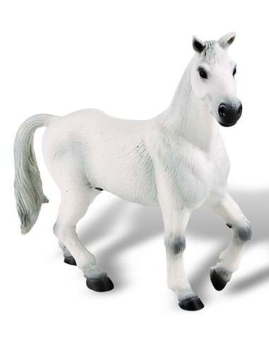 Cal Oldenburger alb,BL4007176626740