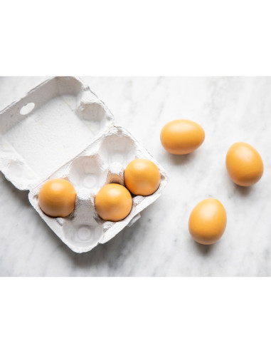 Carton cu 6 oua,NC10596 Carton cu 6 oua,NC10596