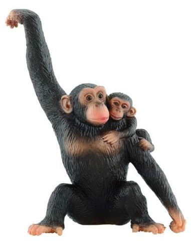 Cimpazeu cu pui,BL4007176635940