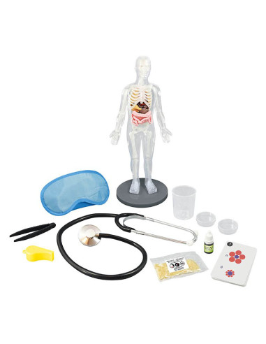 Corpul uman - 12 experimente NEW,BK2163 Corpul uman - 12 experimente NEW,BK2163