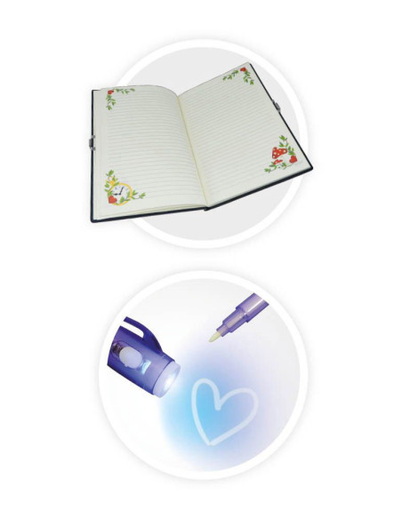 Jurnalul Secret,BKNB003