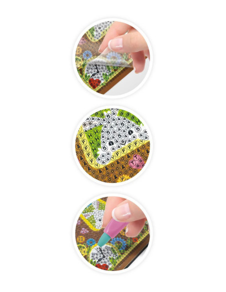 Jurnalul Secret,BKNB003