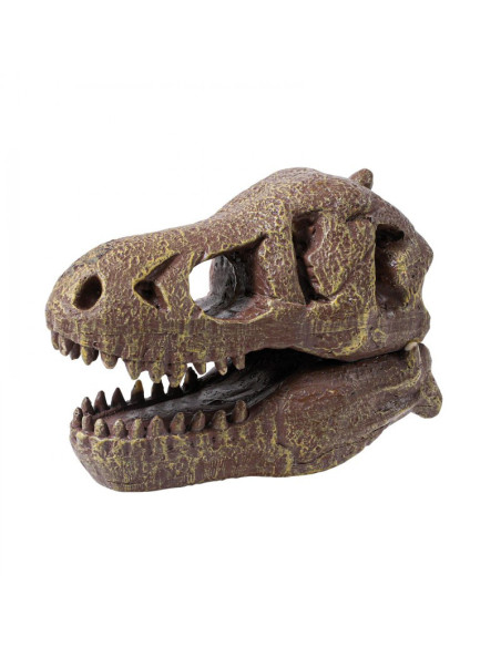 Kit de sapat - Craniu T-Rex,BK2130