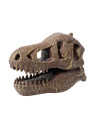 Kit de sapat - Craniu T-Rex,BK2130