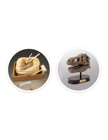 Kit de sapat - Craniu T-Rex,BK2130