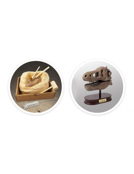 Kit de sapat - Craniu T-Rex,BK2130