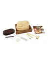 Kit de sapat - Craniu Triceratops,BK2131