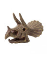 Kit de sapat - Craniu Triceratops,BK2131