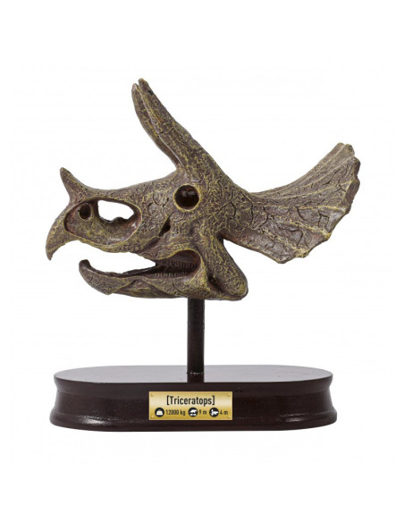 Kit de sapat - Craniu Triceratops,BK2131