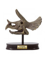 Kit de sapat - Craniu Triceratops,BK2131