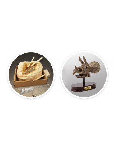 Kit de sapat - Craniu Triceratops,BK2131