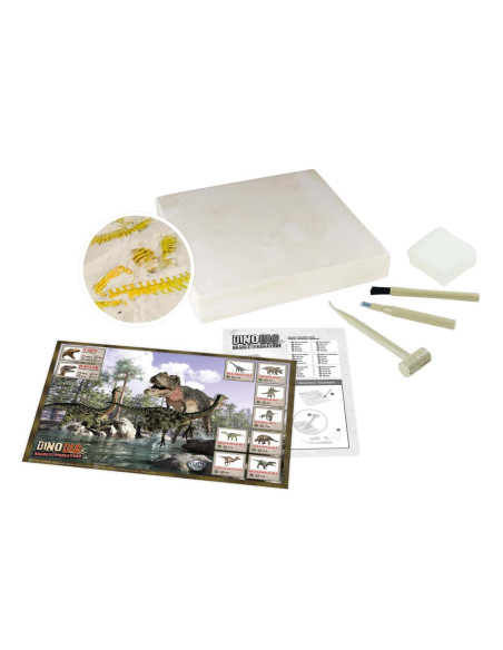 Kit de sapat - Dinozaur,BK2139