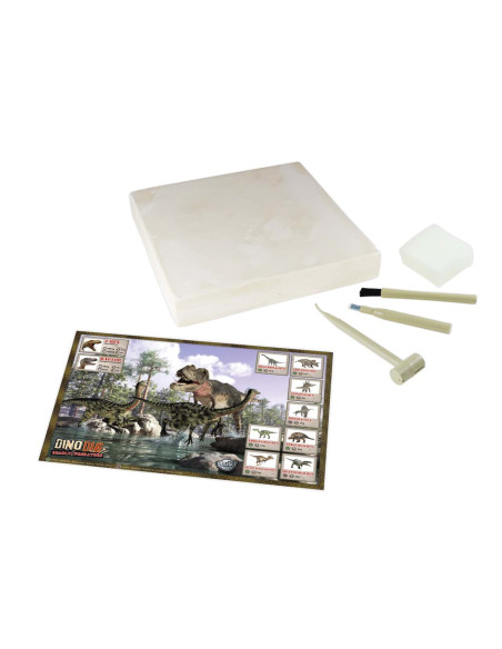 Kit de sapat - Dinozaur,BK2139