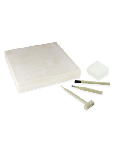 Kit de sapat - Dinozaur,BK2139