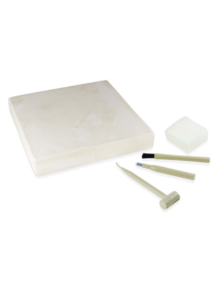 Kit de sapat - Dinozaur,BK2139