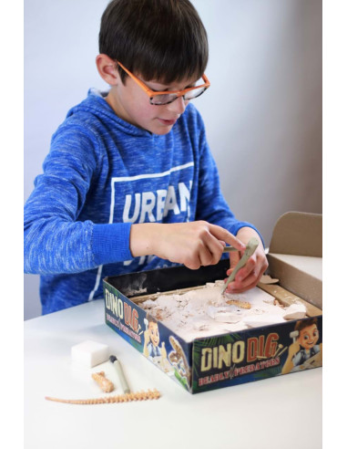 Kit de sapat - Dinozaur,BK2139