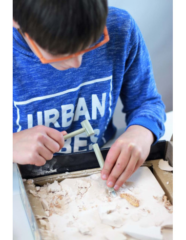 Kit de sapat - Dinozaur,BK2139