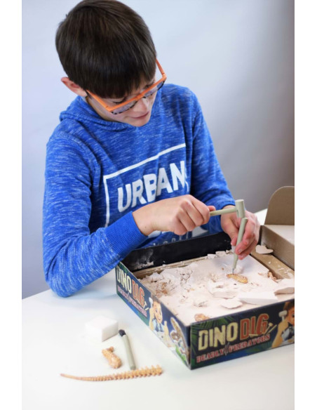 Kit de sapat - Dinozaur,BK2139