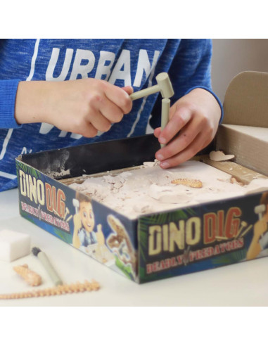 Kit de sapat - Dinozaur,BK2139