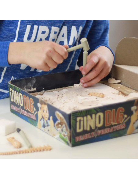 Kit de sapat - Dinozaur,BK2139