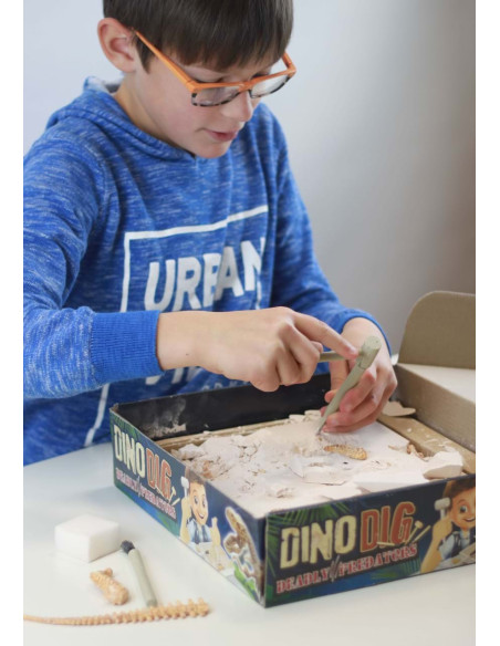 Kit de sapat - Dinozaur,BK2139