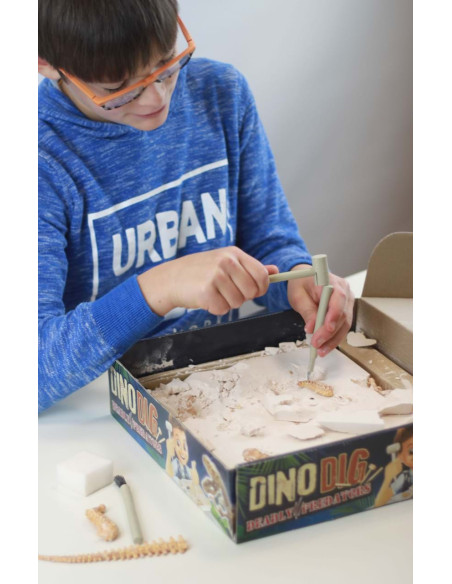 Kit de sapat - Dinozaur,BK2139