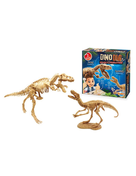 Kit de sapat - Dinozaur,BK2139