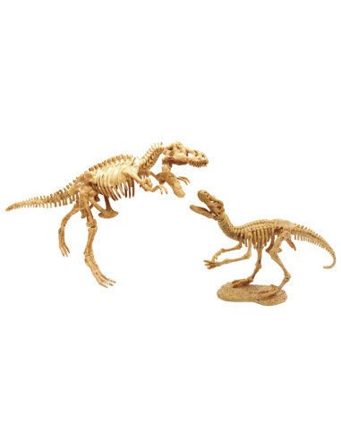 Kit de sapat - Dinozaur,BK2139