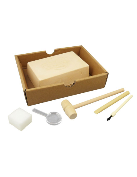 Kit de sapat - Roci si Minerale,BK440