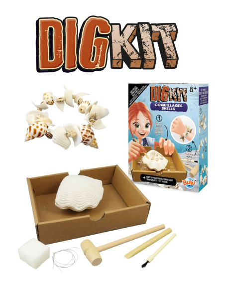 Kit de sapat - Scoici,BK441