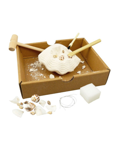 Kit de sapat - Scoici,BK441